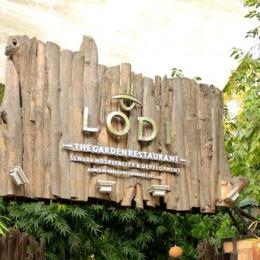 Lodi- The Garden Restaurant Monsoon Festival Review 