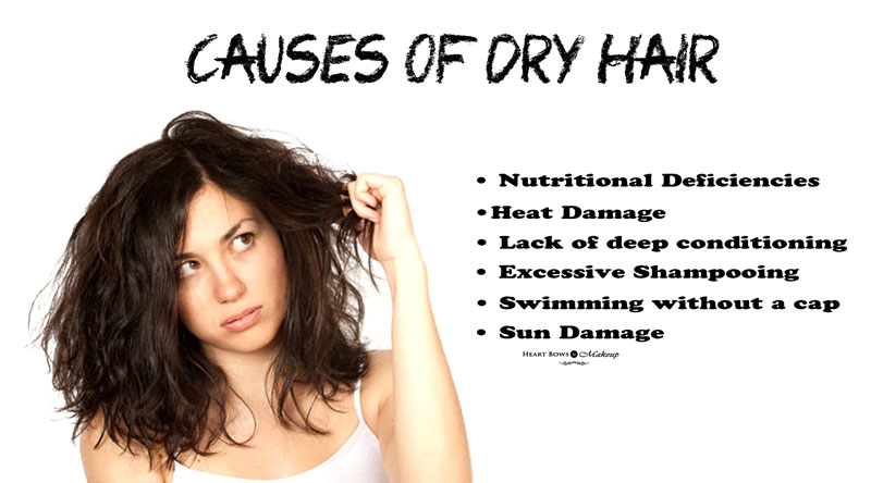Causes of Dry Hair + Scalp & their solutions