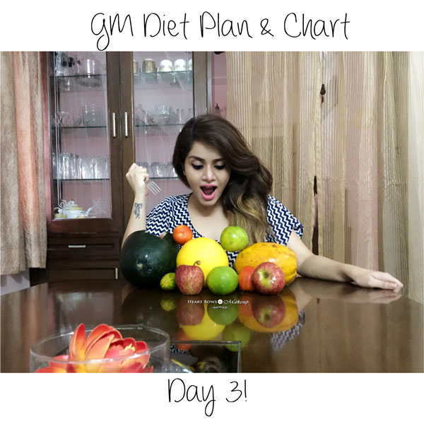 GM Diet Plan Vegetarian Diet Chart My Daily Meal Plan Experience Heart Bows Makeup gm-diet-plan-vegetarian-diet-chart-my-daily-meal-plan-experience-heart-bows-makeup