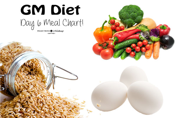 GM Diet Plan Vegetarian Diet Chart My Daily Meal Plan Experience 