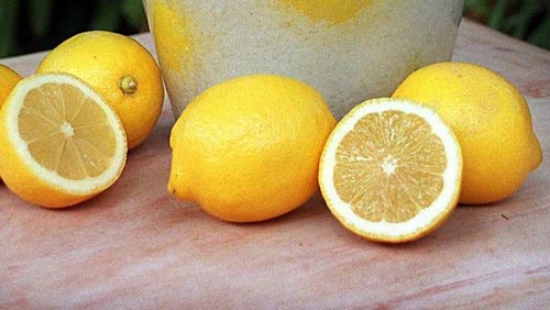 Lemon Detox Diet Side Effects Precautions Master Cleanse