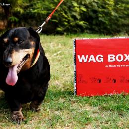 Wag Box By Heads Up For Tails Review, Products & Price