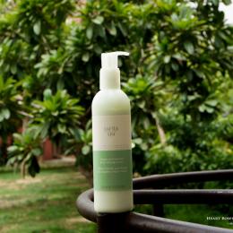 Jafra Ginger & Seaweed Body Massage Cream Review