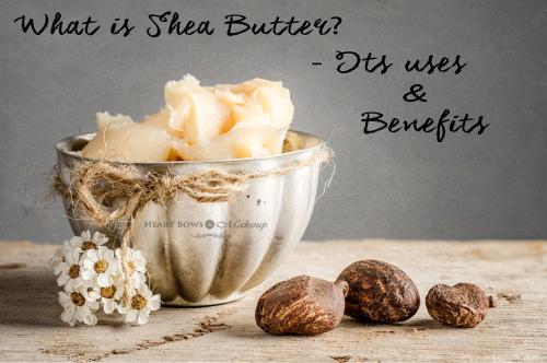 What is Shea Butter- Its Uses, Benefits & Best Shea Butter Products!