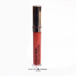 Colorbar Sheer Glass Lipgloss Brown Sheen Review, Swatches & Price