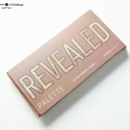 Coastal Scents Revealed Palette Review, Swatches, Price: UD Naked 1 & 2 Dupe!
